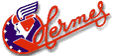 Hermes logo