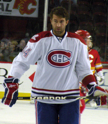 File:Roman Hamrlik.png