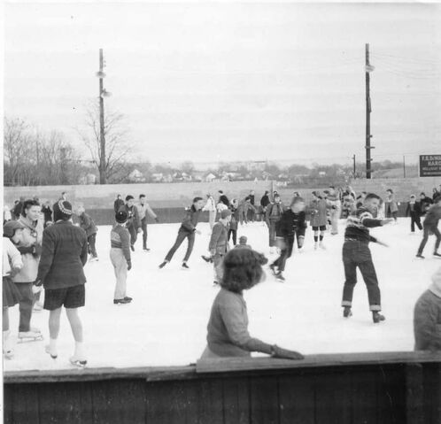 File:Crystal Rink.jpg