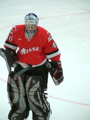 File:David Aebischer.jpg