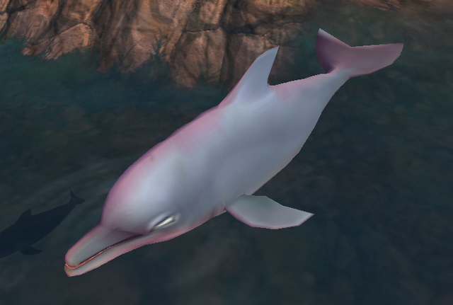 File:Dolphin.png
