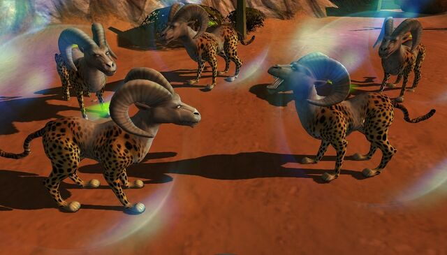 File:Herding.jpg
