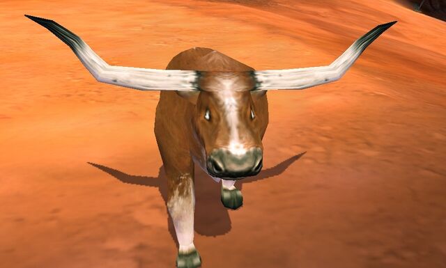 File:Bull.jpg