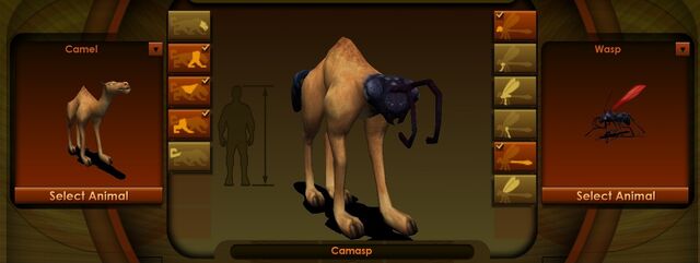 File:Assassin.jpg