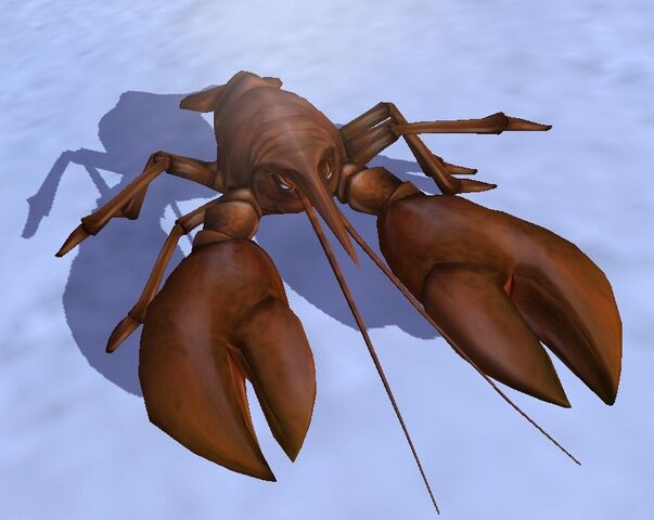 File:Lobster.jpg