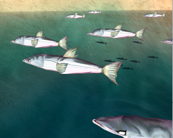 File:Barracuda.png