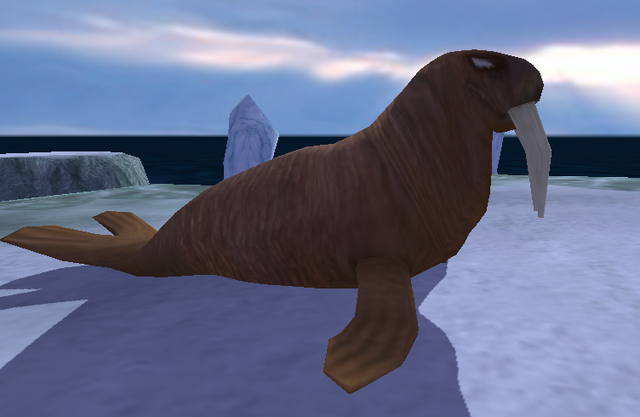 File:Walrus.png