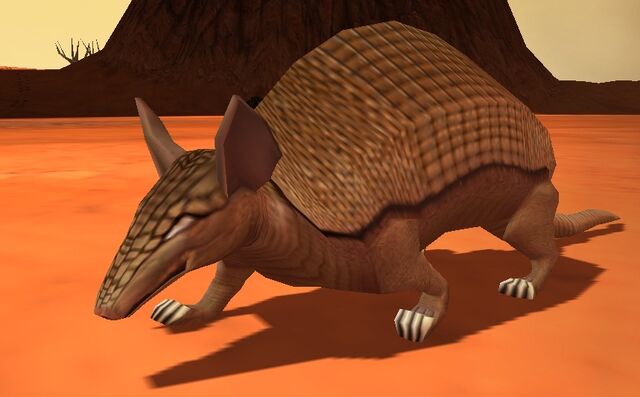 File:Armadillo.jpg