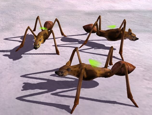 File:Immunity.jpg