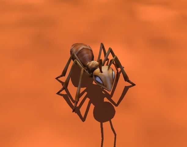 File:Ant.jpg