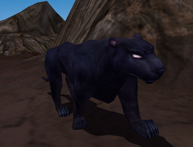 File:Panther.jpg