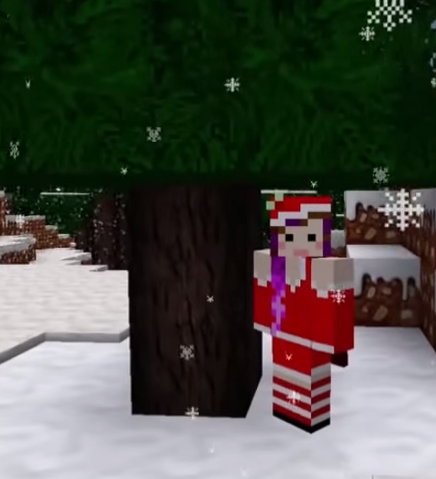 File:Christmas skin.png