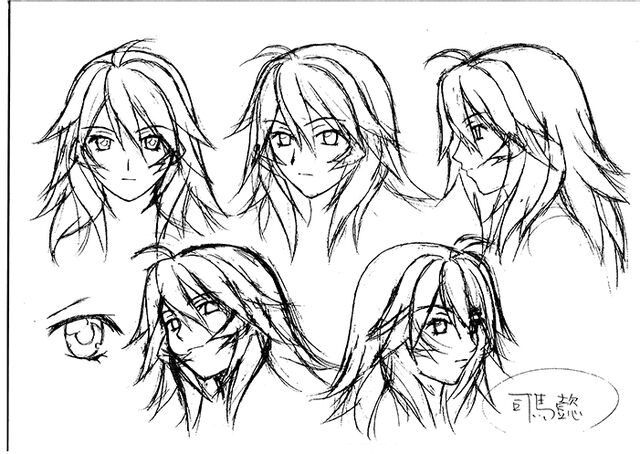 File:Settei-ikki tousen dragon destiny-052.jpg