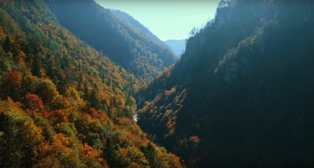 File:Black Woods.png