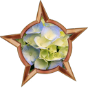 File:Badge-2264-2.png