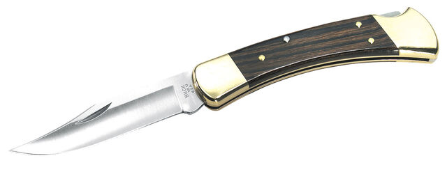 File:Buck knife 110 Folding Hunter.jpg