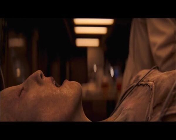 File:Alpha Female Darkseeker.jpg