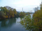 Toulouse - Île du Ramier - 20101207 (2)