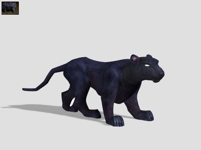 File:Panther.jpg