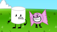 BowMarshmallowTog