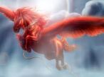 Pegasus Phoenix!