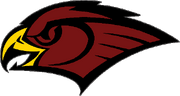 Black Hawks Logo