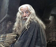 080430gandalf.jpg
