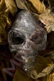 Indy-crystal-skull.jpg
