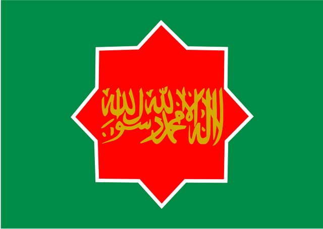 Plik:Fikcyjna flaga Hatay.png