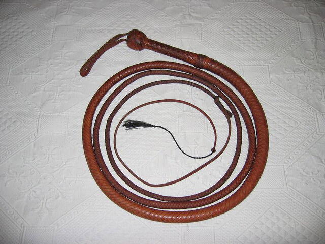 Plik:Bullwhip 01.jpg