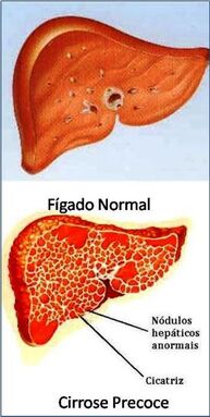 Figura3.jpeg.jpg