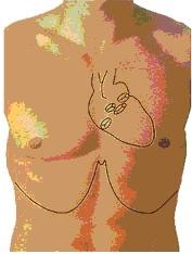 Figura1Cardio
