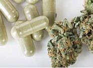 Cannabis5.jpg