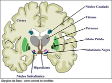 DH.Figura2.jpg.gif