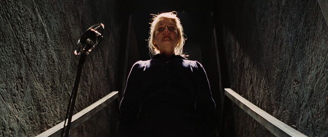 File:Shosanna films herself.jpg