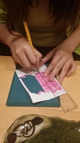 ファイル:20150619 211442.jpg