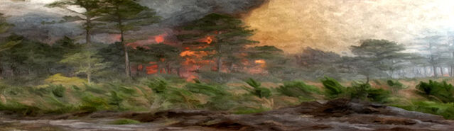 File:ForestFire1.jpg