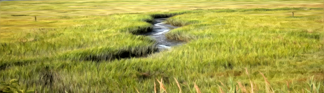 File:Banner---grassy-plains-river1.png