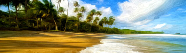 File:Banner---tropical-beach1.jpg