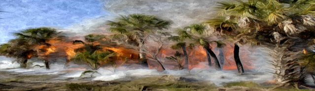 File:ForestFire3.jpg