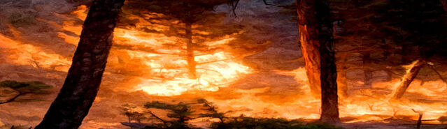 File:ForestFire2.jpg