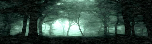 File:Initium ShadowedForest.jpg