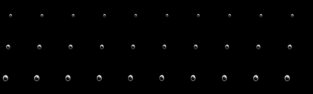 File:Guppy swim1.gif