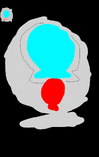 AbsolutelySafeCapsule
