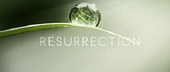 250px-Resurrection 2013 logo
