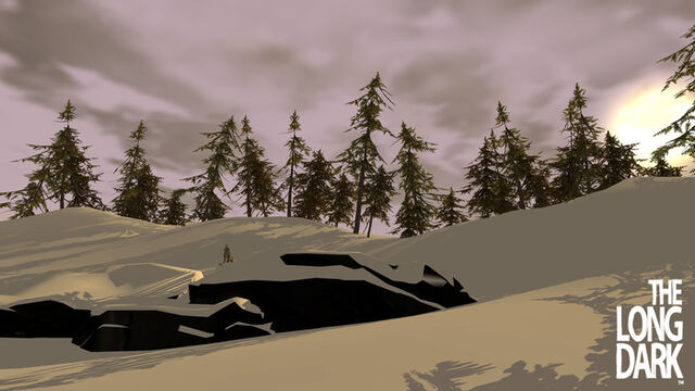 File:In game forest.jpg