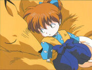Shippo1.jpg