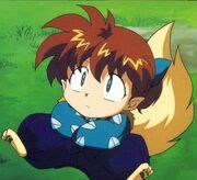Shippo692 n.jpg