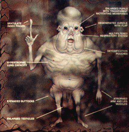 File:Tmp.jpg