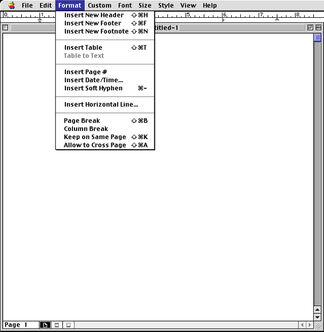 WriteNow(image)